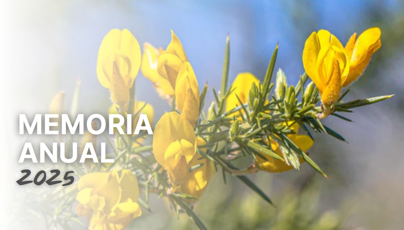 Portada Memoria Anual 2025